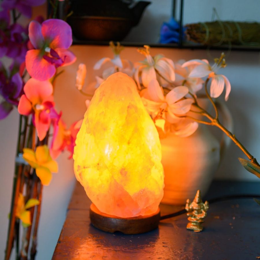 Lampe de sel Shiva ™