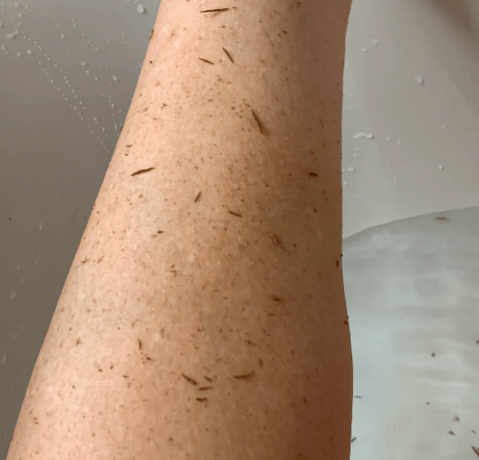 Pack de broussailles SHIVA ™